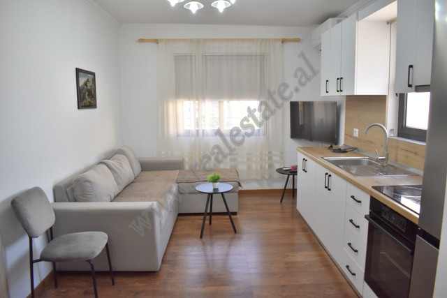 Apartament me qira ne rrugen Mine Peza ne Tirane